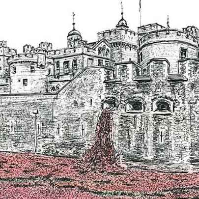 Poppies at the Tower of London - Original Drawings