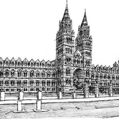 Drawing of Natural History Museum