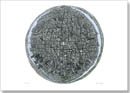 The Globe of New York - Prints for sale