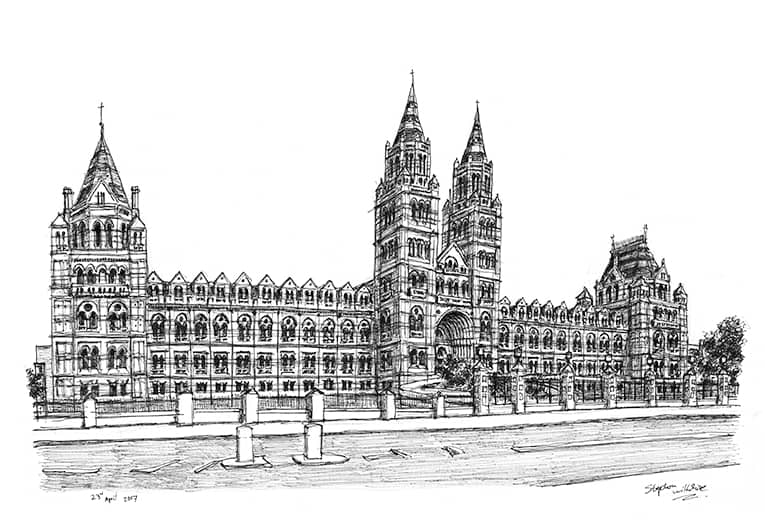 Natural History Museum - Original Drawings and Prints for Sale