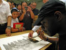 Young fans