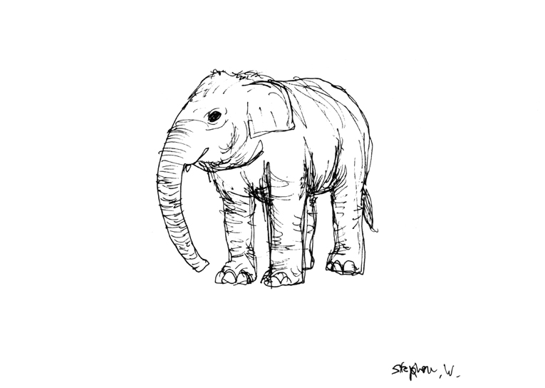 Elephant in London Zoo with White mount (A4) in Flat grain black frame for A4 mounts (J90)